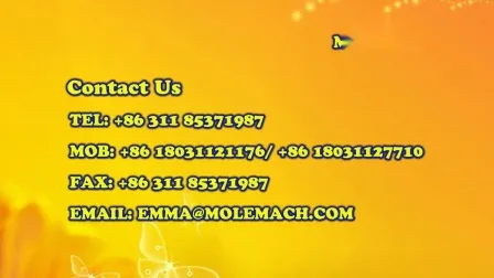 Hot Selling Floating Sinking Fish Feed Processing Production Line