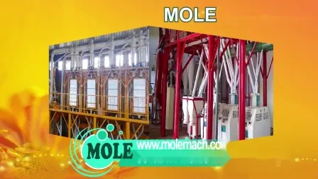 トウモロコシ小麦コーンミル製粉機小麦粉加工機小麦粉生産ラインのフルセット