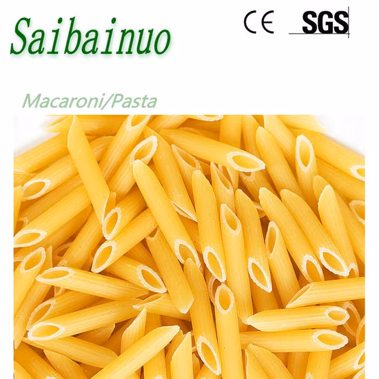 中国メーカーイタリアのパスタ押出機生産ライン 120kg/h マカロニ機械スパゲッティ加工機